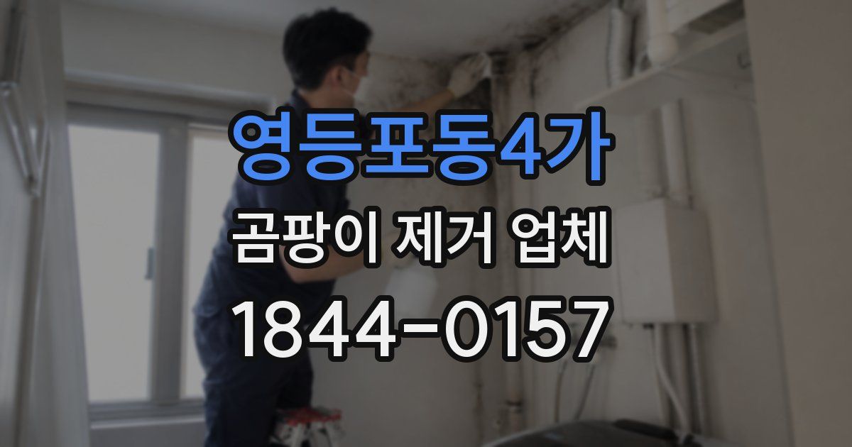영등포동4가 곰팡이 제거 업체
