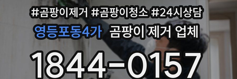 영등포동4가 곰팡이 제거 업체