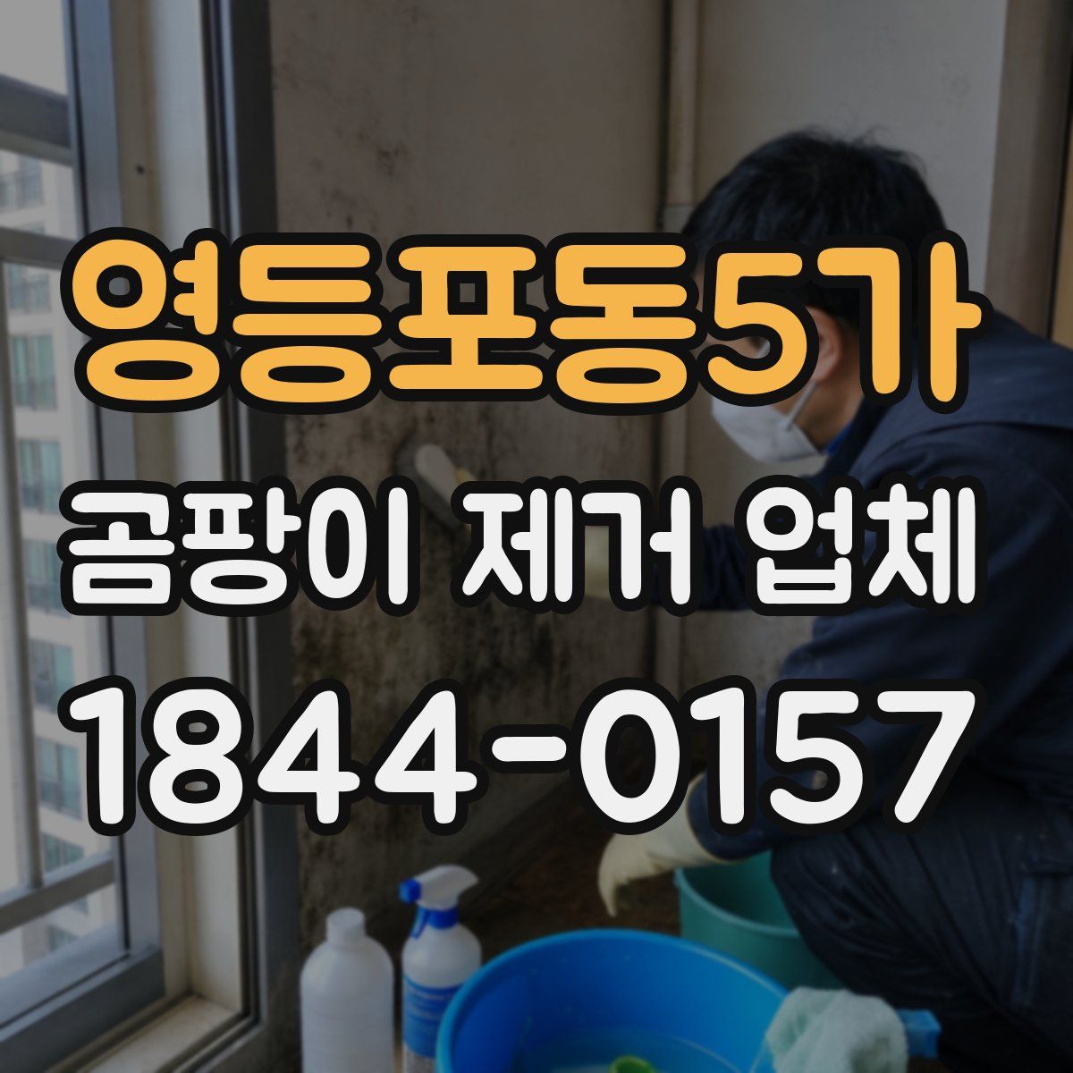 영등포동5가 곰팡이 제거 업체