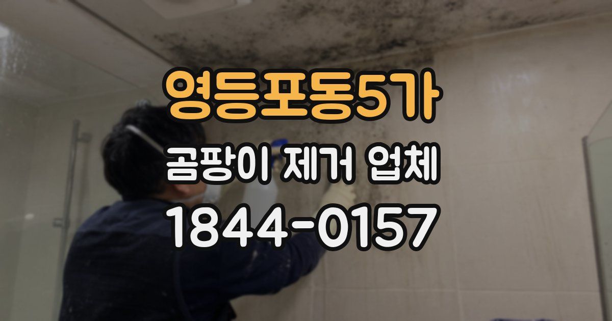 영등포동5가 곰팡이 제거 업체