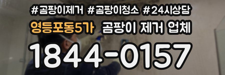 영등포동5가 곰팡이 제거 업체