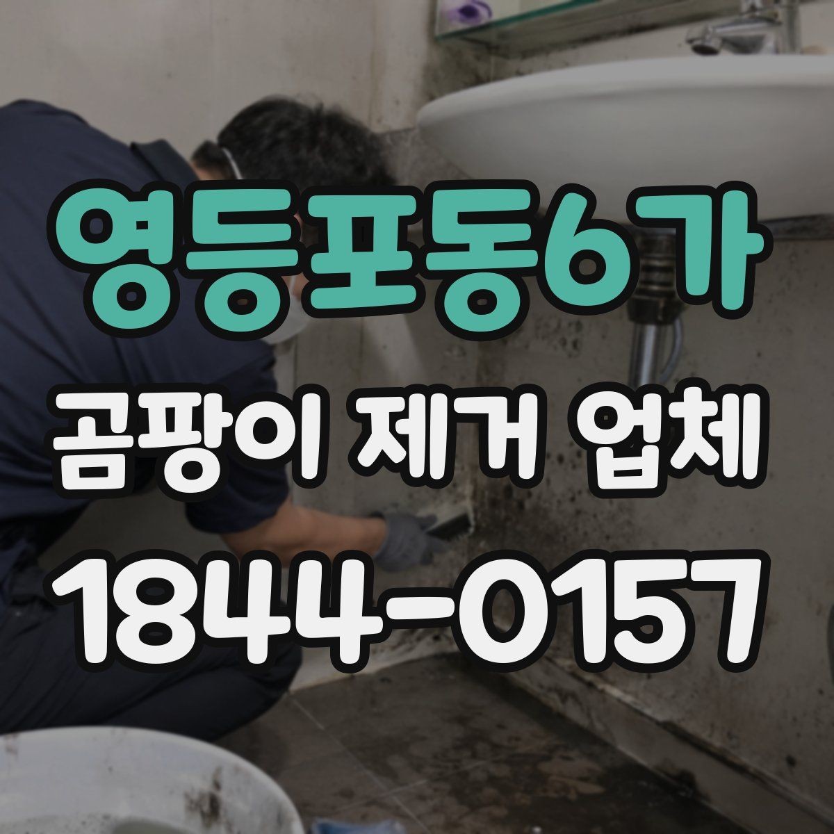 영등포동6가 곰팡이 제거 업체 원복 방지 코팅이 필요한 공간 점검