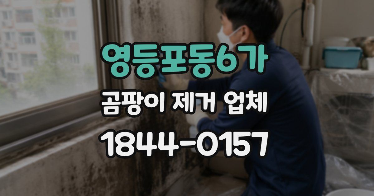 영등포동6가 곰팡이 제거 업체