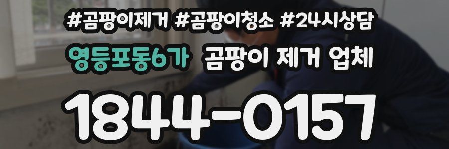 영등포동6가 곰팡이 제거 업체