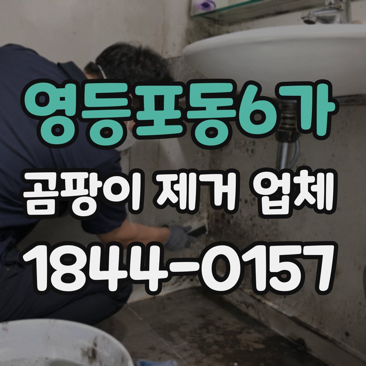 영등포동6가 곰팡이 제거 업체