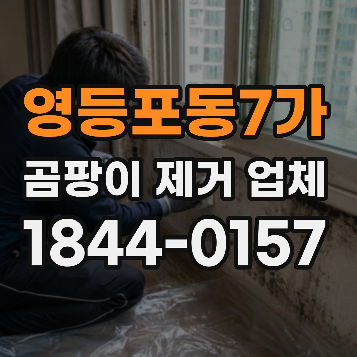 영등포동7가 곰팡이 제거 업체