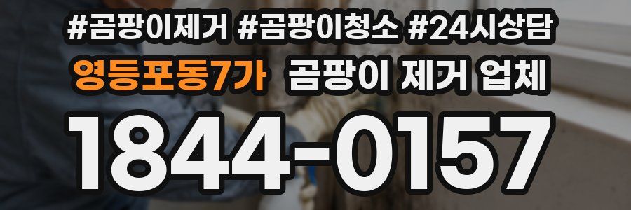 영등포동7가 곰팡이 제거 업체