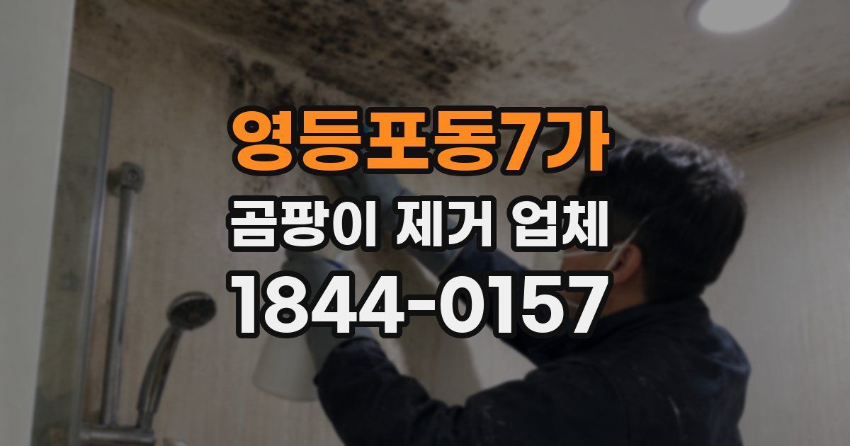 영등포동7가 곰팡이 제거 업체