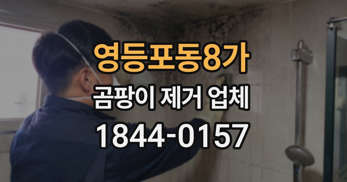 영등포동8가 곰팡이 제거 업체