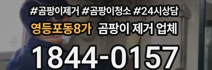 영등포동8가 곰팡이 제거 업체