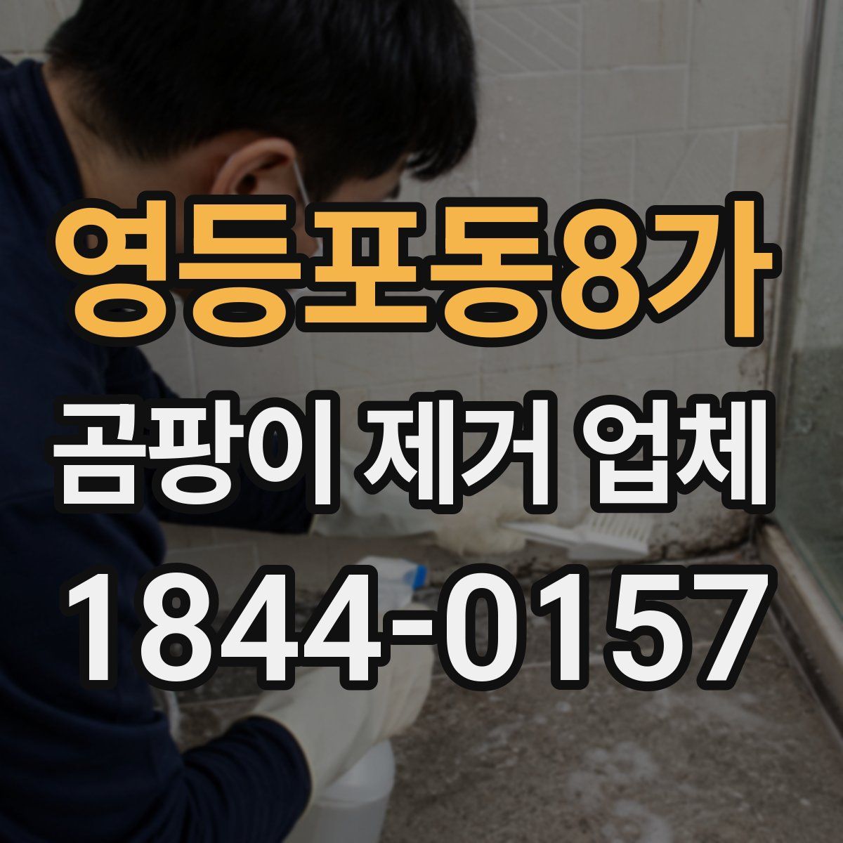 영등포동8가 곰팡이 제거 업체