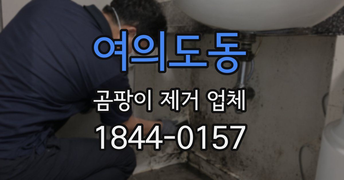 여의도동 곰팡이 제거 업체