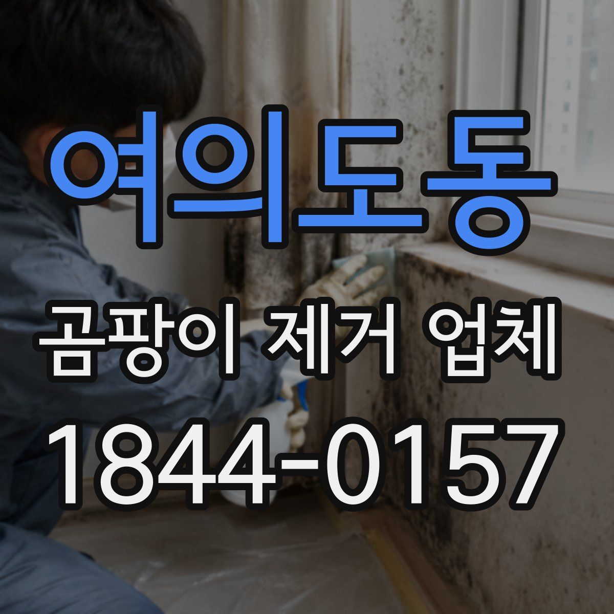 여의도동 곰팡이 제거 업체