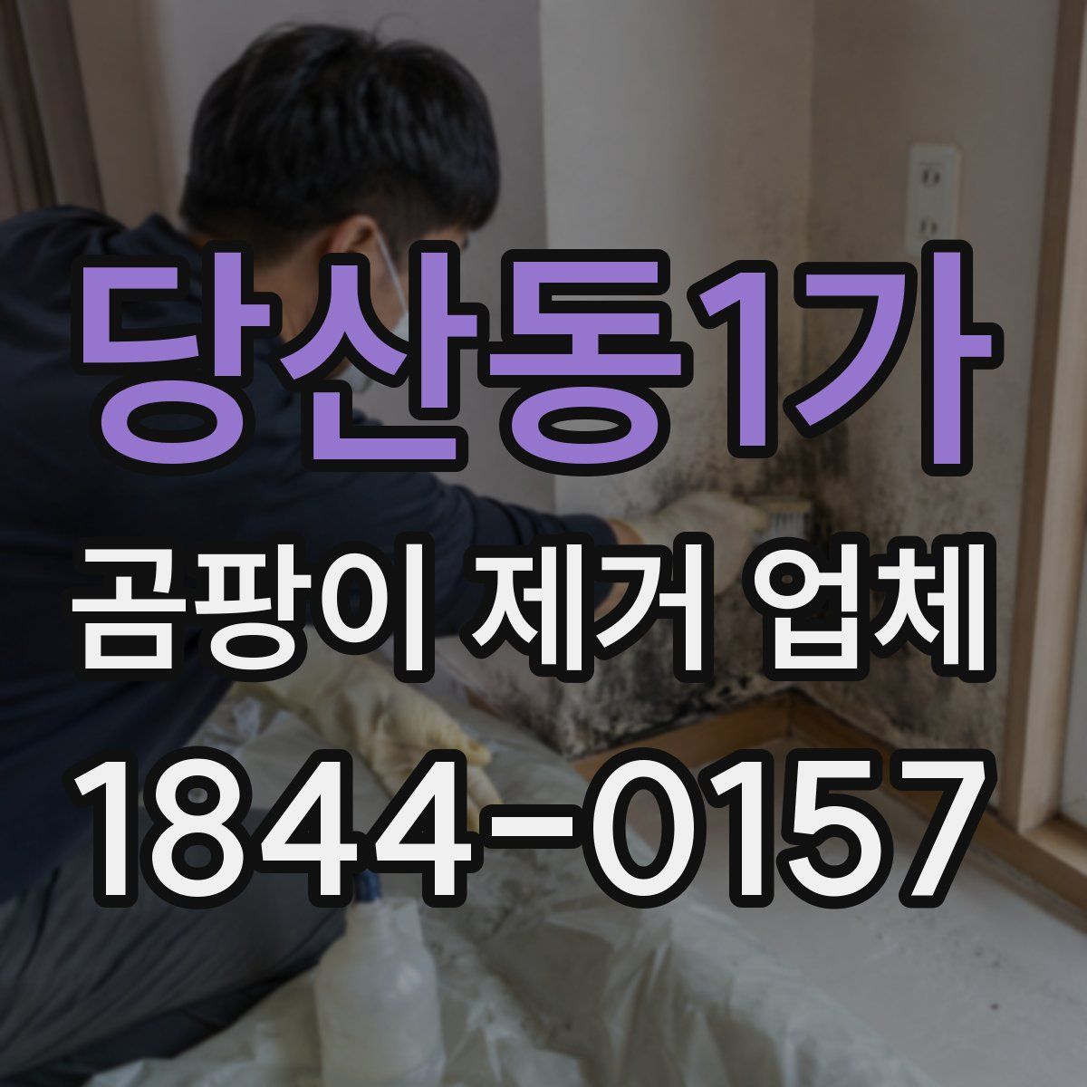 당산동1가 곰팡이 제거 업체
