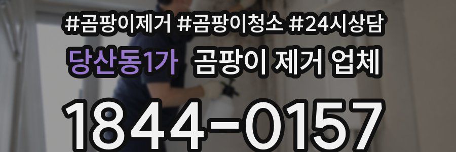 당산동1가 곰팡이 제거 업체