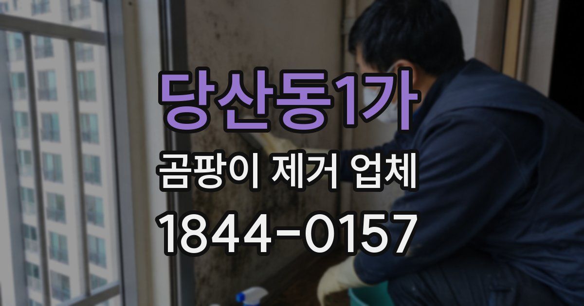당산동1가 곰팡이 제거 업체
