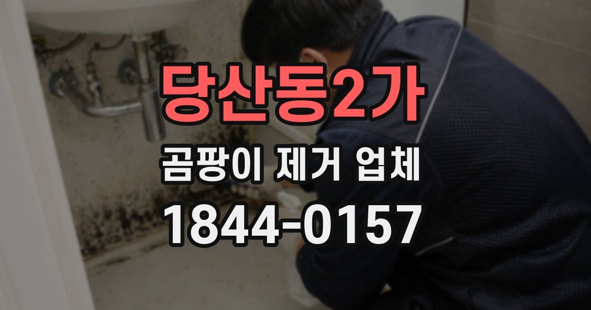당산동2가 곰팡이 제거 업체