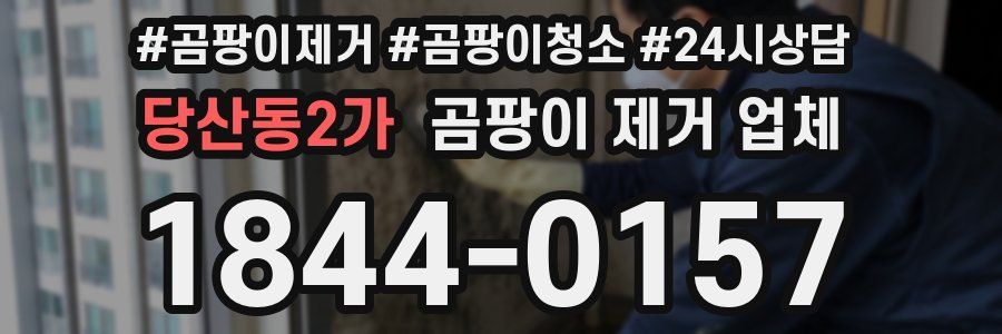 당산동2가 곰팡이 제거 업체