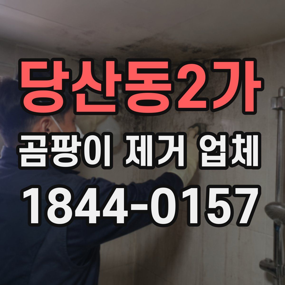 당산동2가 곰팡이 제거 업체