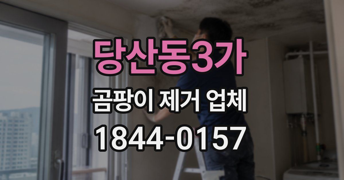 당산동3가 곰팡이 제거 업체