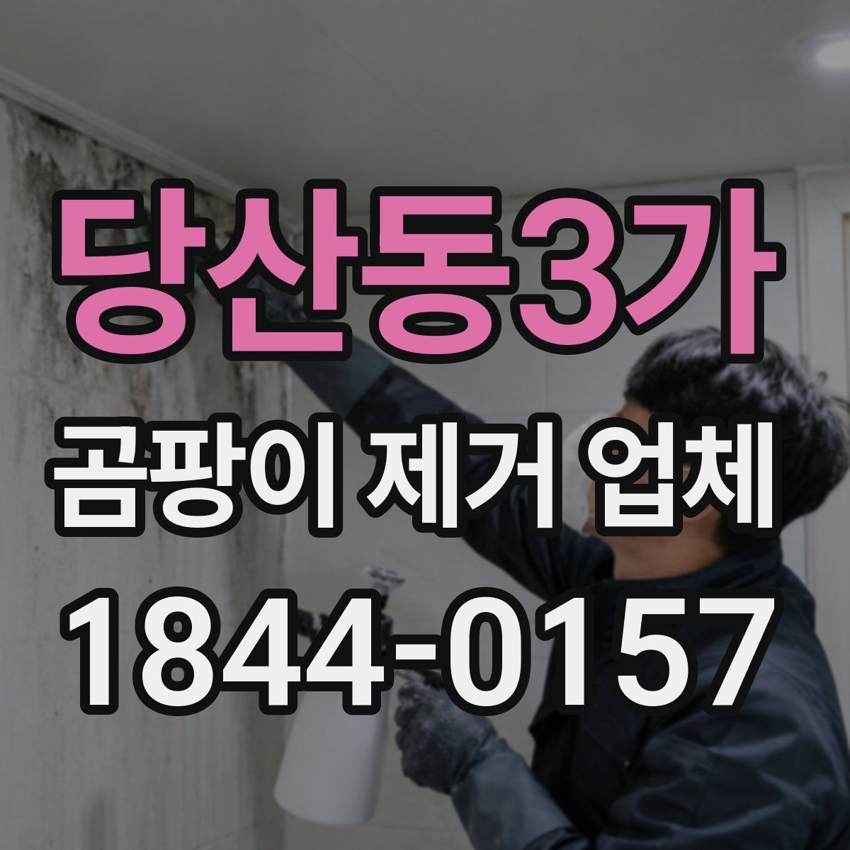 당산동3가 곰팡이 제거 업체