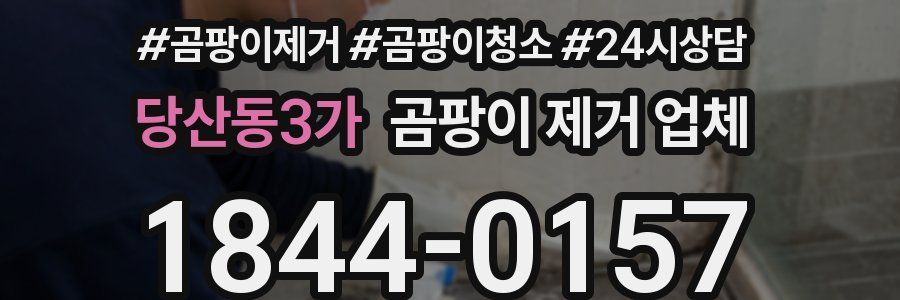 당산동3가 곰팡이 제거 업체