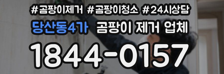 당산동4가 곰팡이 제거 업체