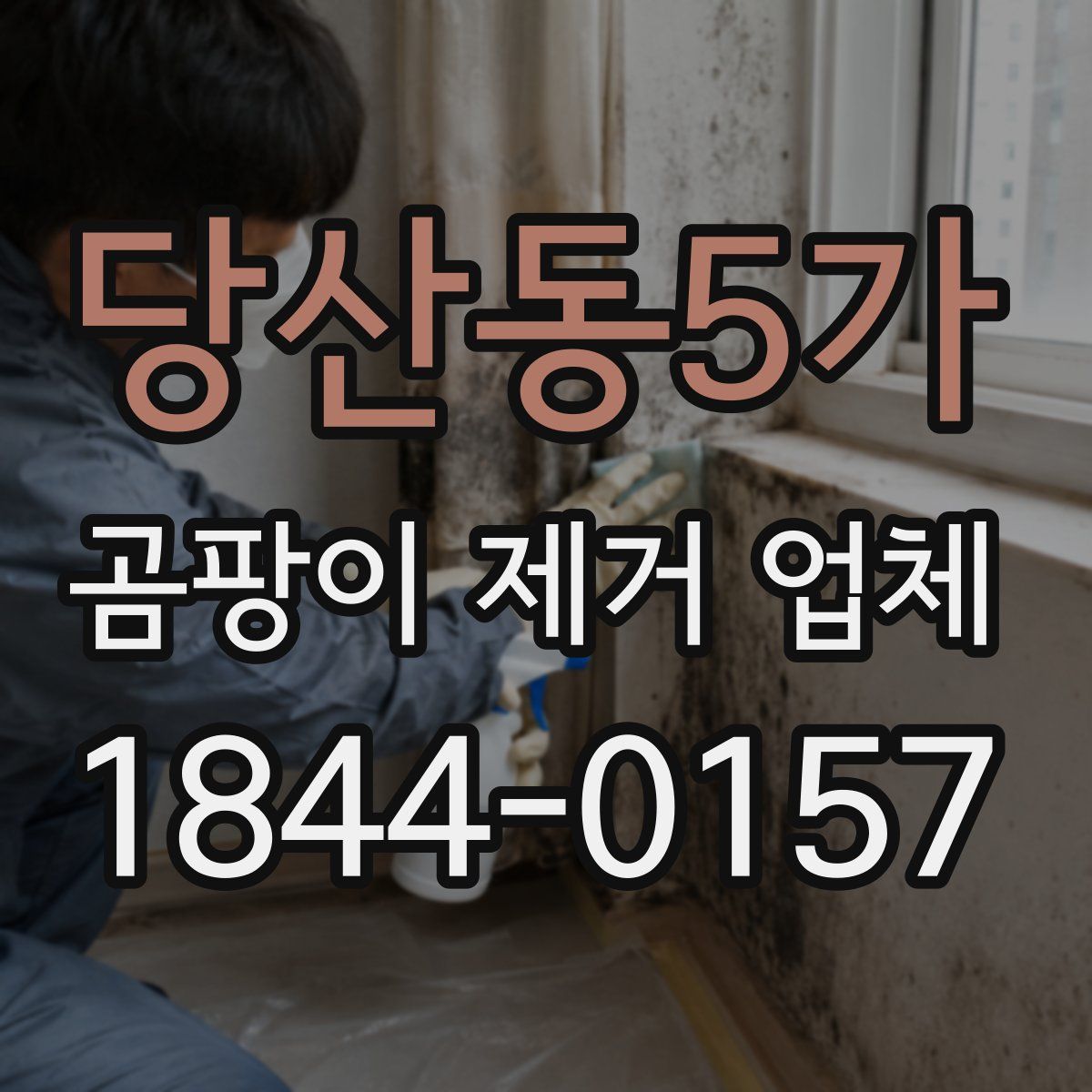 당산동5가 곰팡이 제거 업체