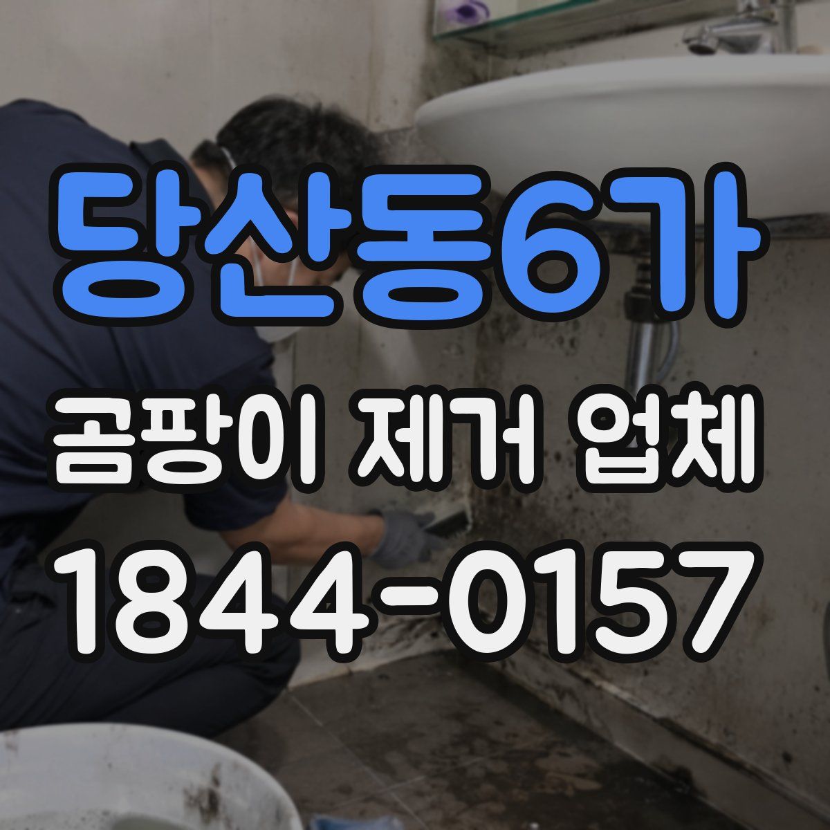 당산동6가 곰팡이 제거 업체