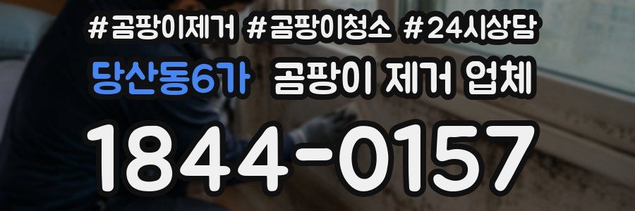 당산동6가 곰팡이 제거 업체