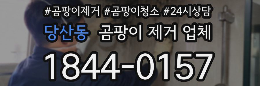 당산동 곰팡이 제거 업체