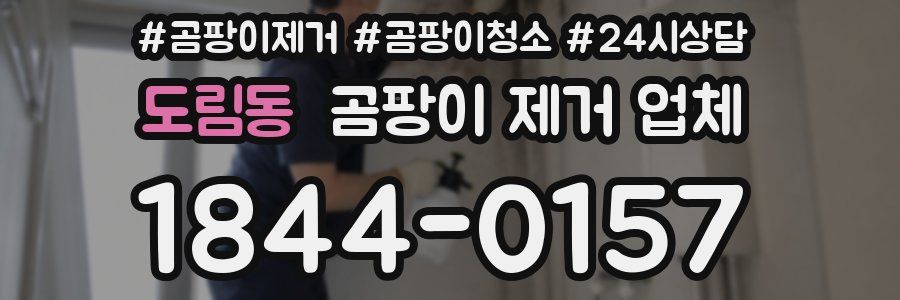 도림동 곰팡이 제거 업체