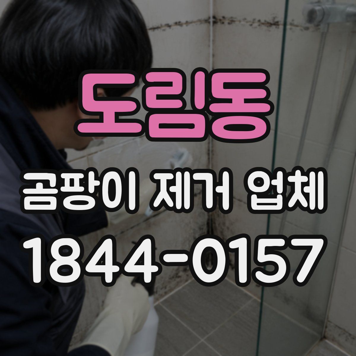 도림동 곰팡이 제거 업체