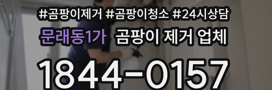 문래동1가 곰팡이 제거 업체