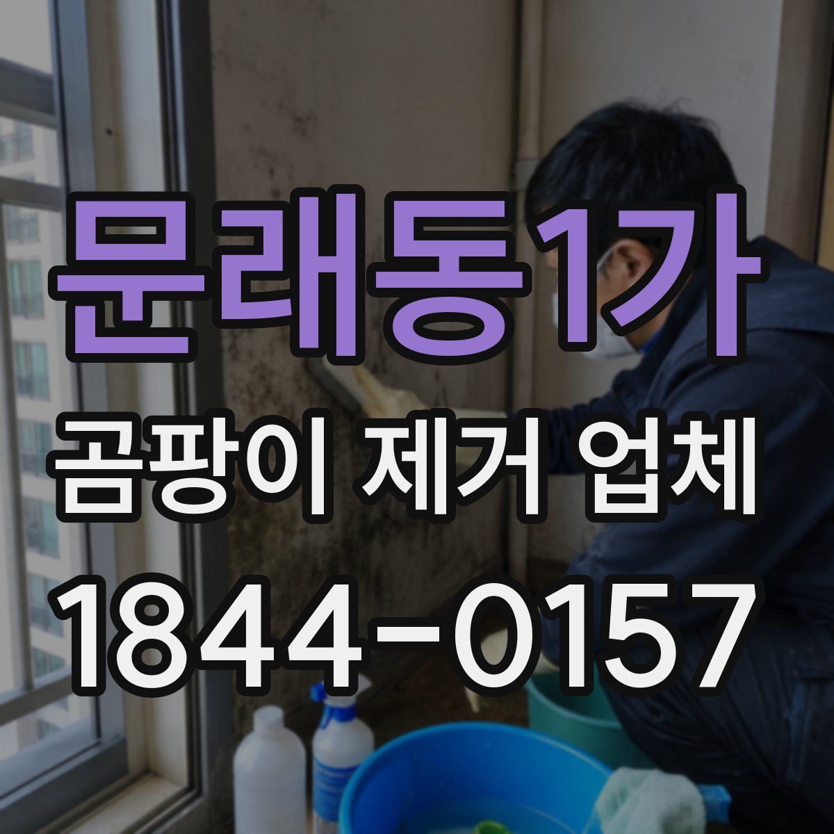 문래동1가 곰팡이 제거 업체