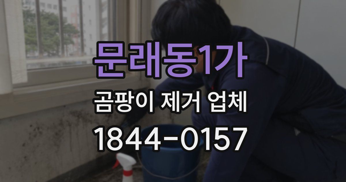 문래동1가 곰팡이 제거 업체