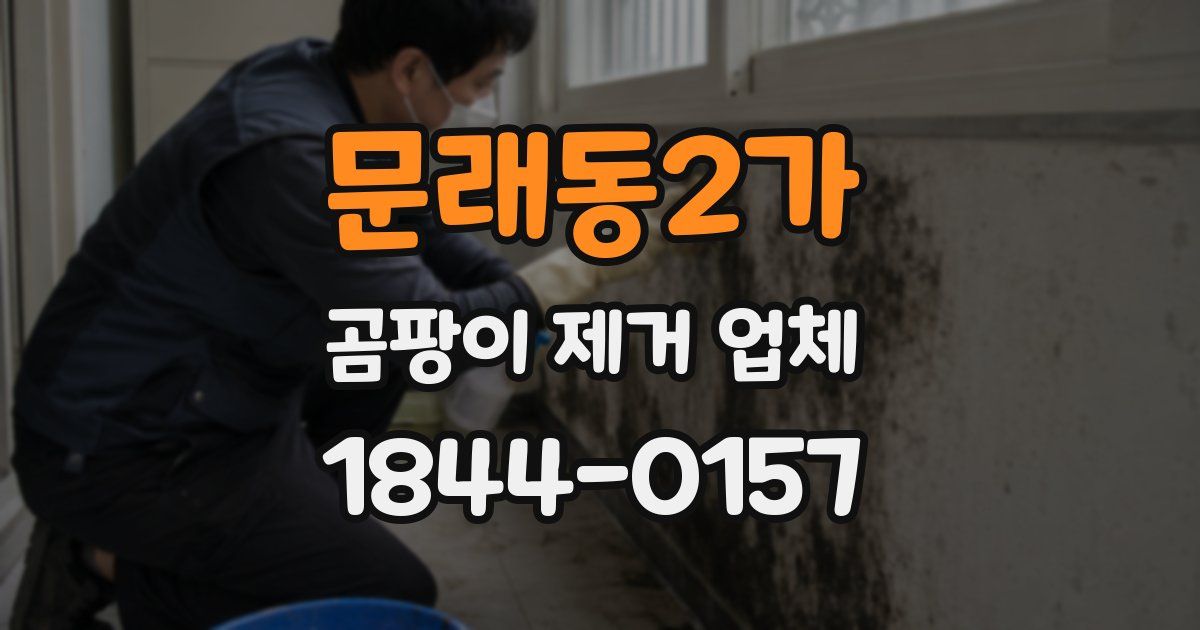 문래동2가 곰팡이 제거 업체