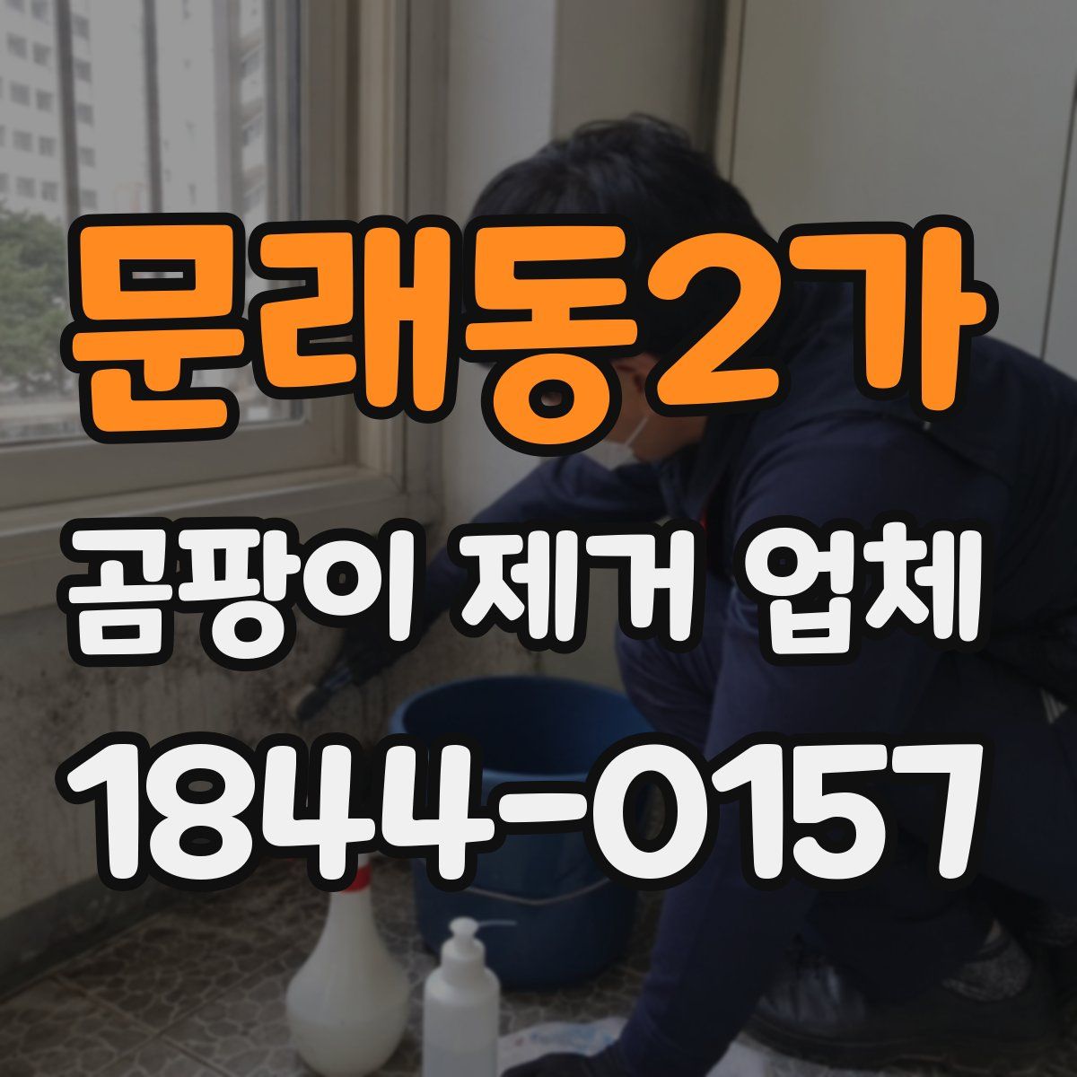 문래동2가 곰팡이 제거 업체