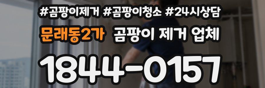 문래동2가 곰팡이 제거 업체