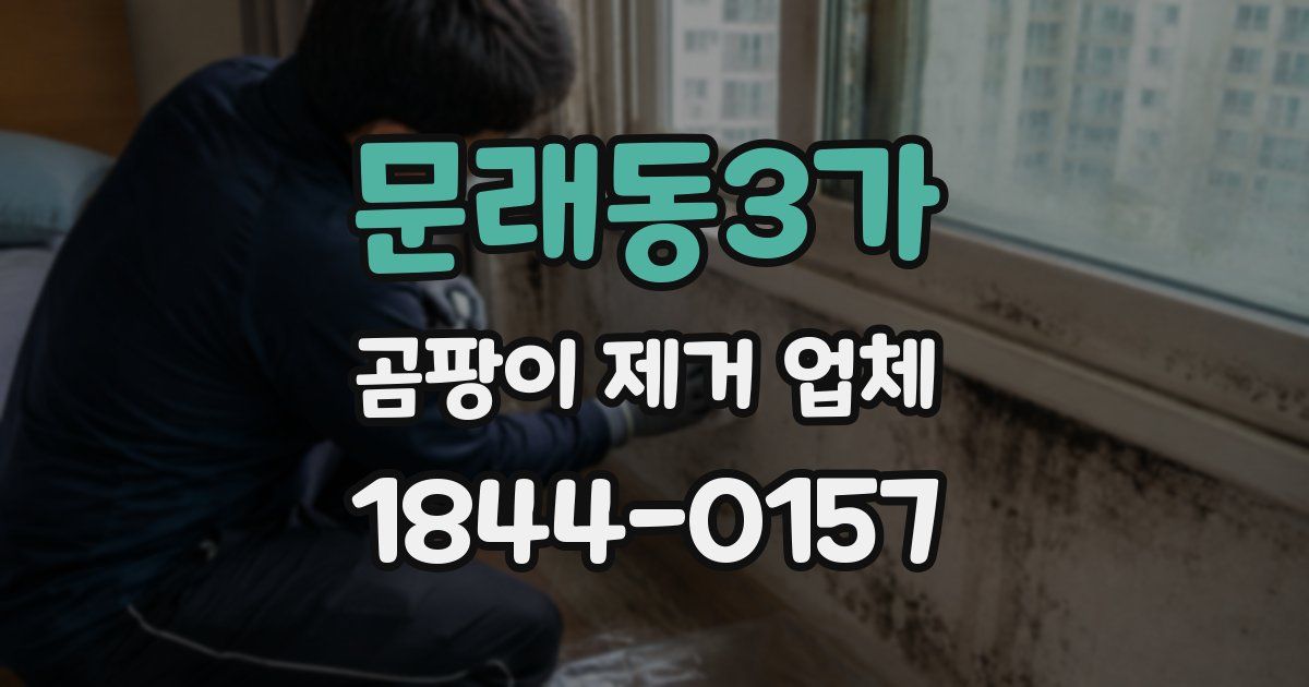문래동3가 곰팡이 제거 업체