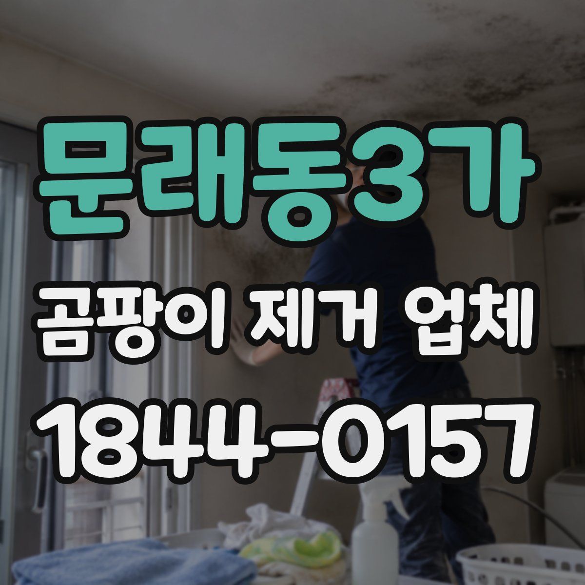문래동3가 곰팡이 제거 업체