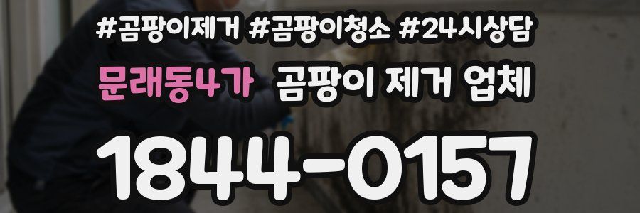 문래동4가 곰팡이 제거 업체