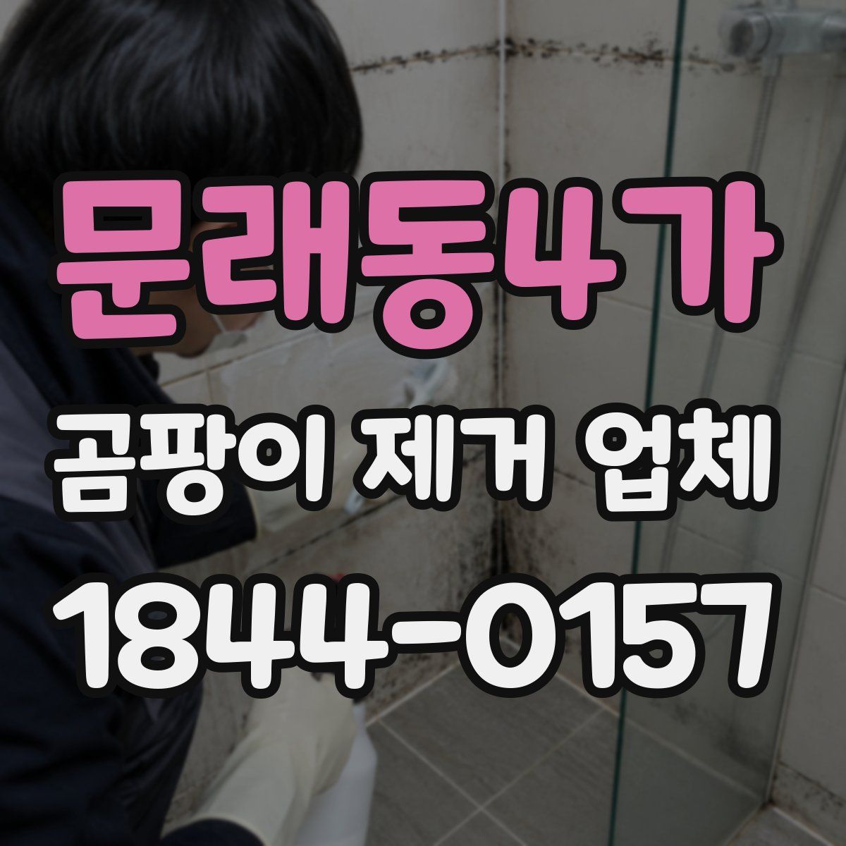 문래동4가 곰팡이 제거 업체