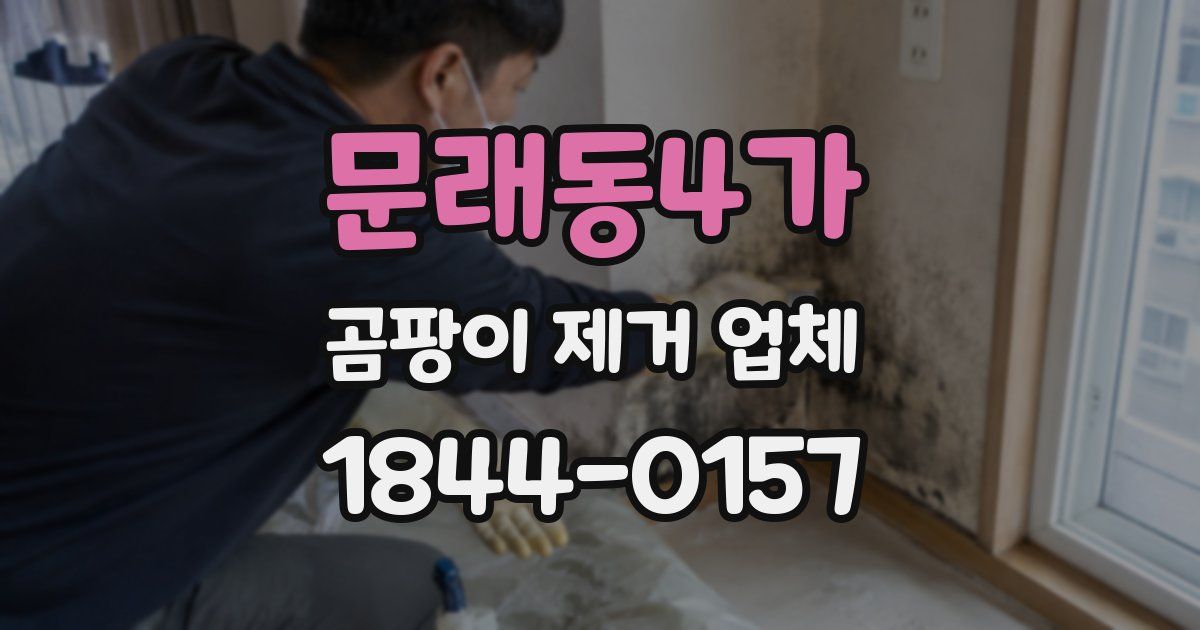 문래동4가 곰팡이 제거 업체