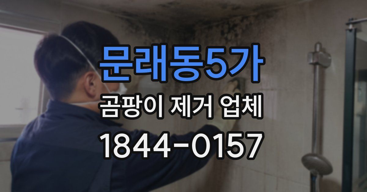 문래동5가 곰팡이 제거 업체