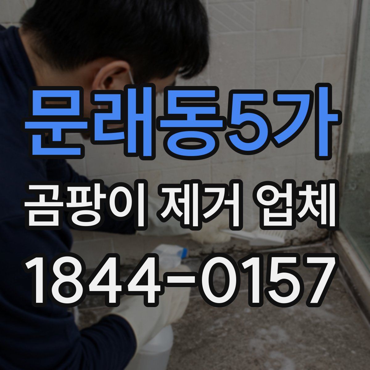 문래동5가 곰팡이 제거 업체