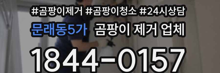 문래동5가 곰팡이 제거 업체