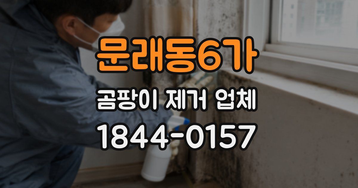 문래동6가 곰팡이 제거 업체