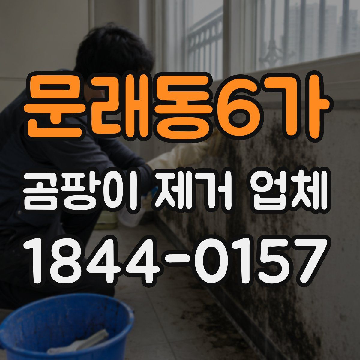 문래동6가 곰팡이 제거 업체