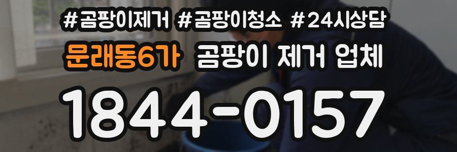 문래동6가 곰팡이 제거 업체